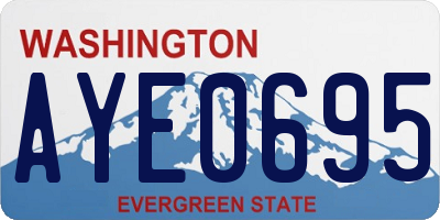 WA license plate AYE0695