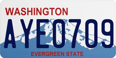 WA license plate AYE0709