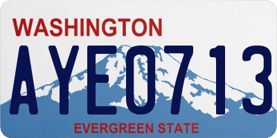 WA license plate AYE0713