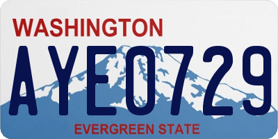 WA license plate AYE0729