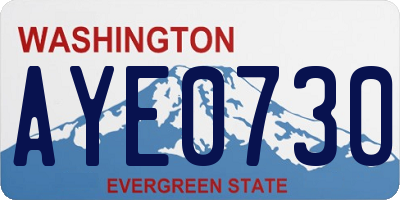 WA license plate AYE0730