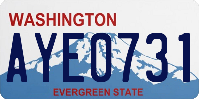 WA license plate AYE0731