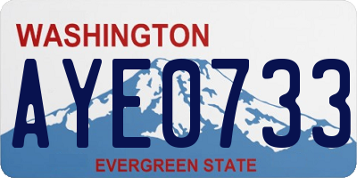 WA license plate AYE0733