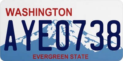 WA license plate AYE0738