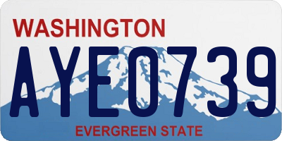 WA license plate AYE0739