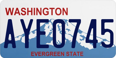 WA license plate AYE0745