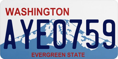 WA license plate AYE0759