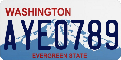 WA license plate AYE0789