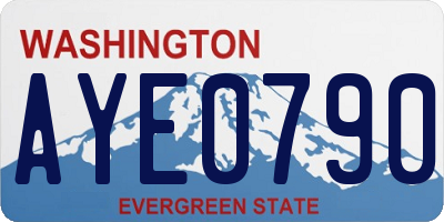 WA license plate AYE0790