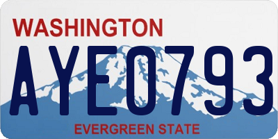 WA license plate AYE0793