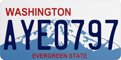 WA license plate AYE0797