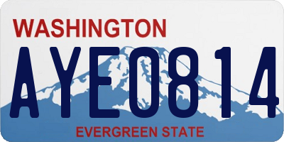 WA license plate AYE0814