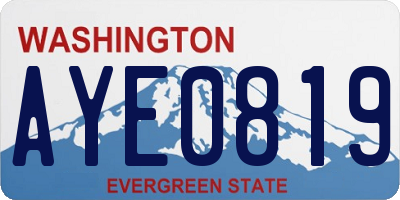 WA license plate AYE0819