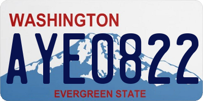 WA license plate AYE0822