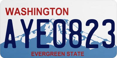 WA license plate AYE0823