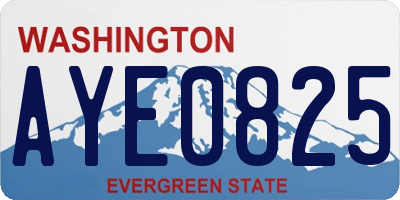 WA license plate AYE0825