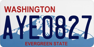 WA license plate AYE0827