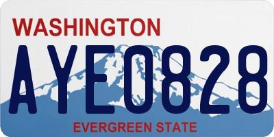 WA license plate AYE0828