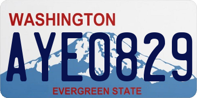 WA license plate AYE0829