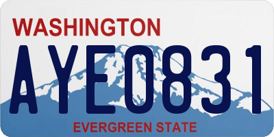 WA license plate AYE0831