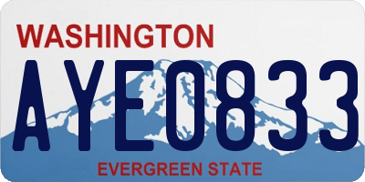 WA license plate AYE0833