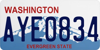 WA license plate AYE0834