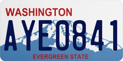 WA license plate AYE0841
