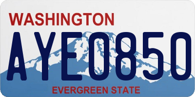 WA license plate AYE0850