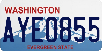 WA license plate AYE0855