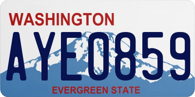 WA license plate AYE0859