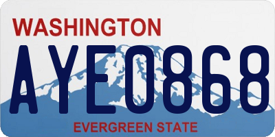 WA license plate AYE0868