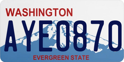 WA license plate AYE0870
