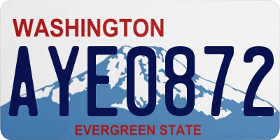 WA license plate AYE0872