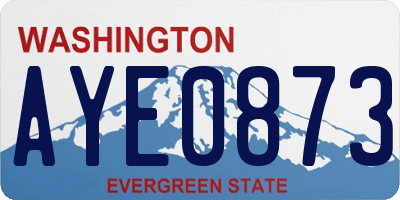 WA license plate AYE0873