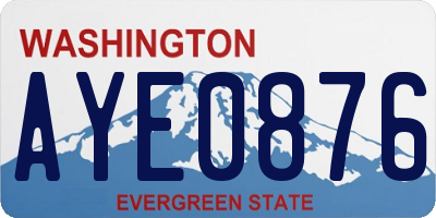 WA license plate AYE0876