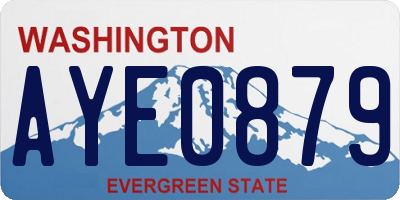 WA license plate AYE0879
