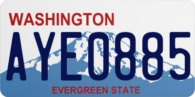 WA license plate AYE0885