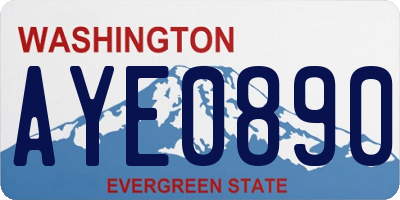 WA license plate AYE0890