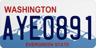 WA license plate AYE0891