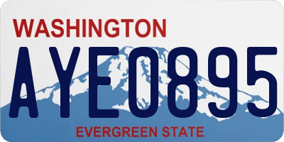 WA license plate AYE0895