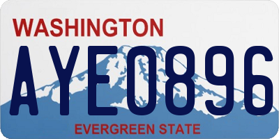 WA license plate AYE0896