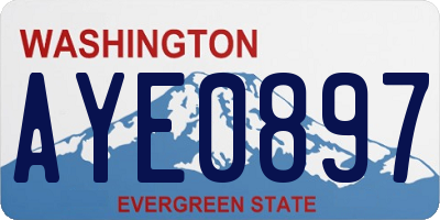 WA license plate AYE0897