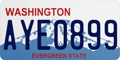 WA license plate AYE0899