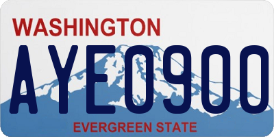 WA license plate AYE0900