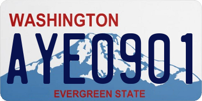 WA license plate AYE0901