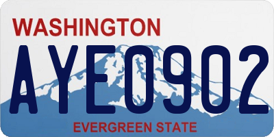 WA license plate AYE0902