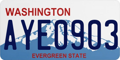 WA license plate AYE0903