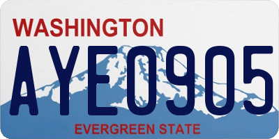 WA license plate AYE0905
