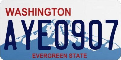 WA license plate AYE0907