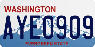 WA license plate AYE0909